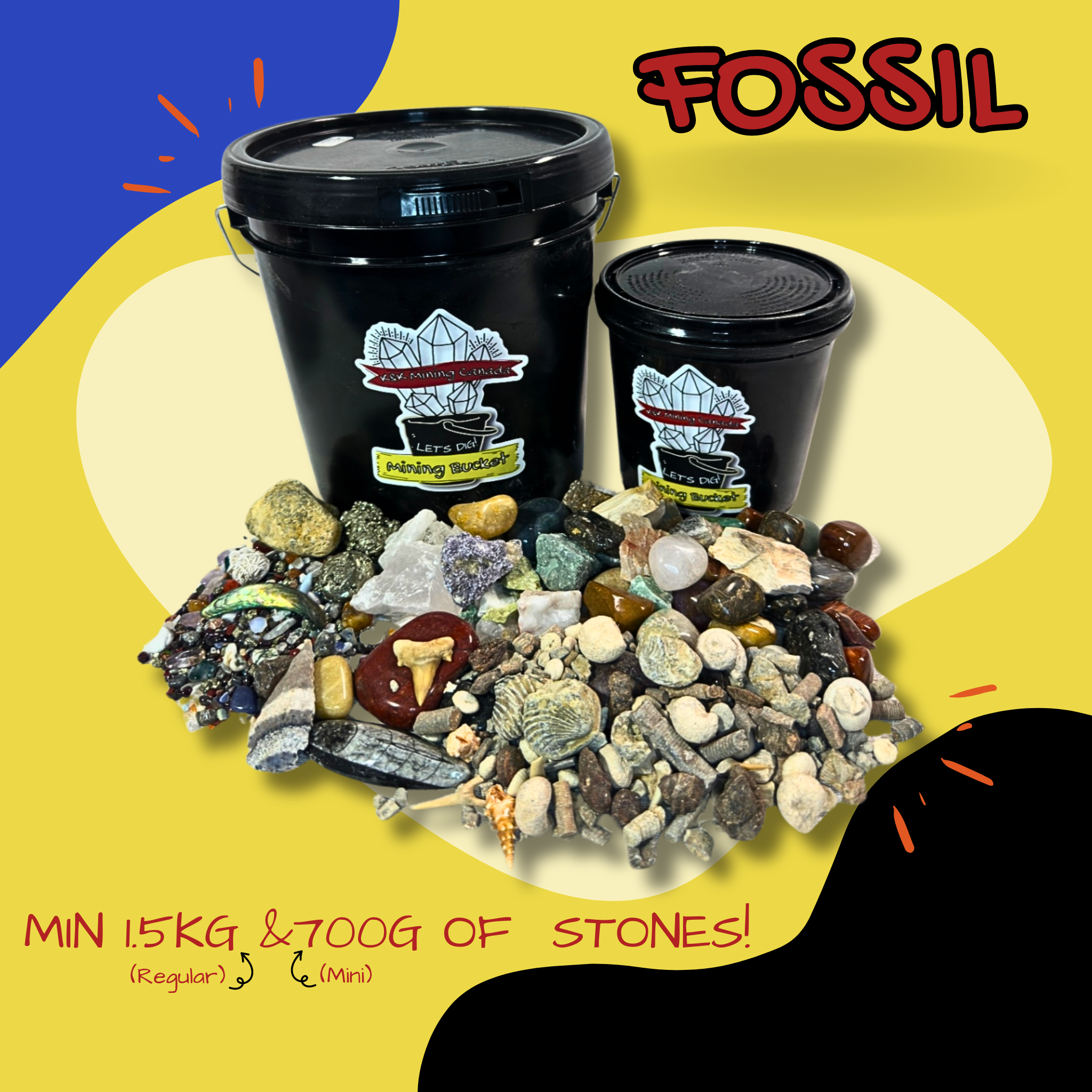 LET'S DIG! Mini Fossil Mining Bucket