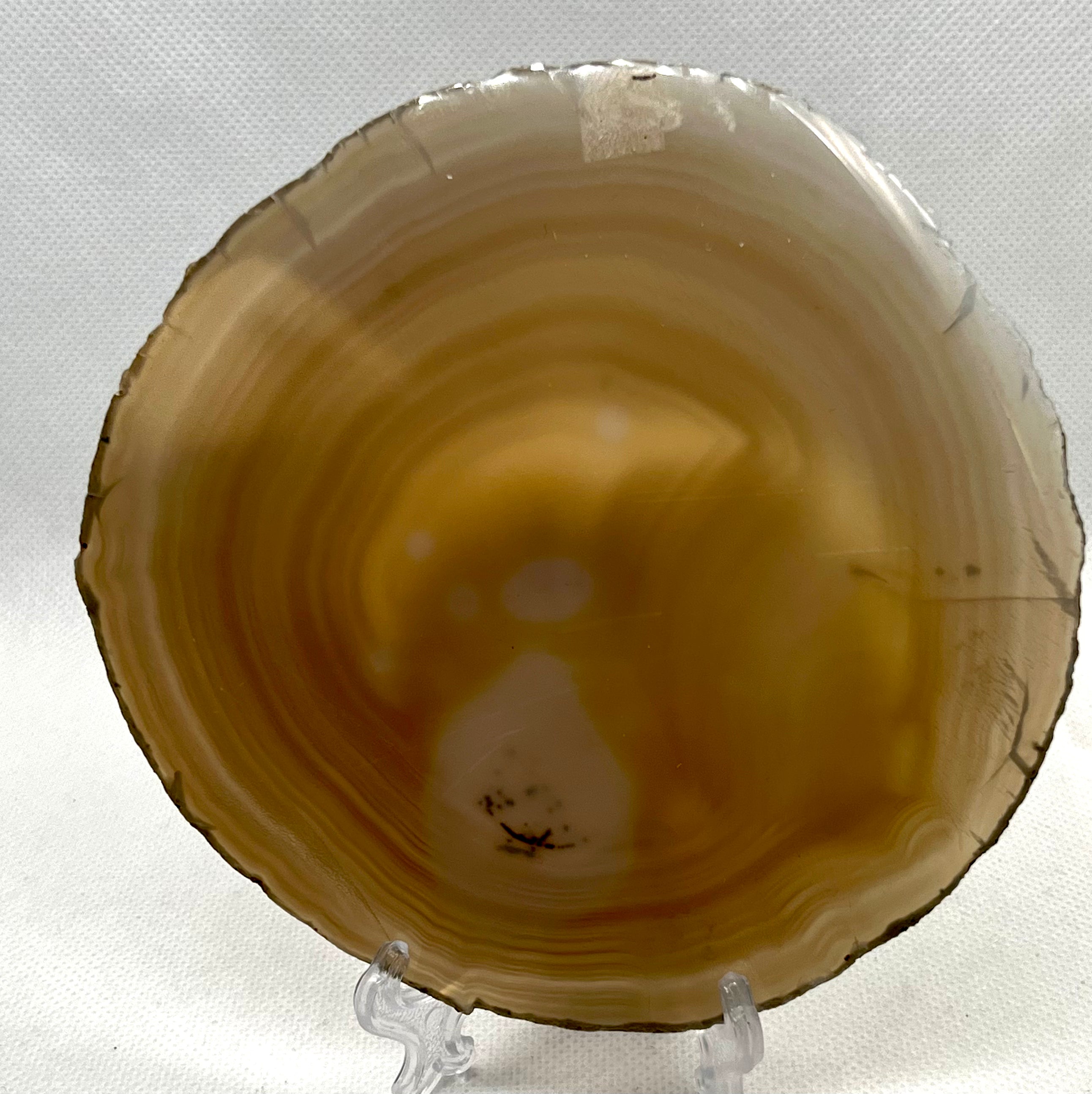 Agate Slice- XL #5