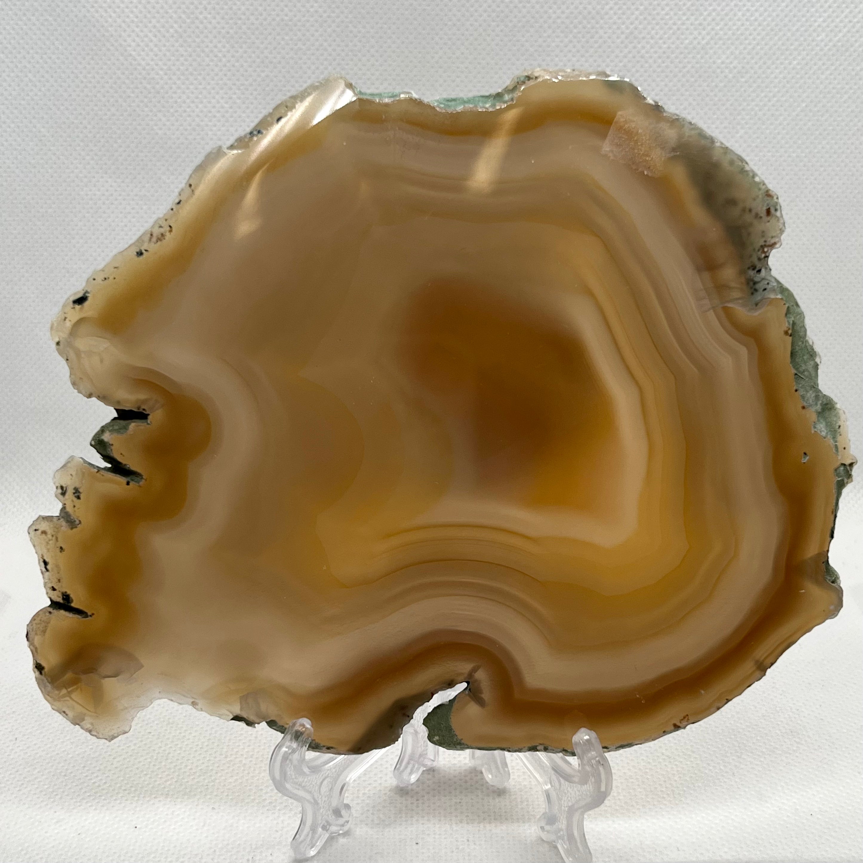 Agate Slice- XL #5