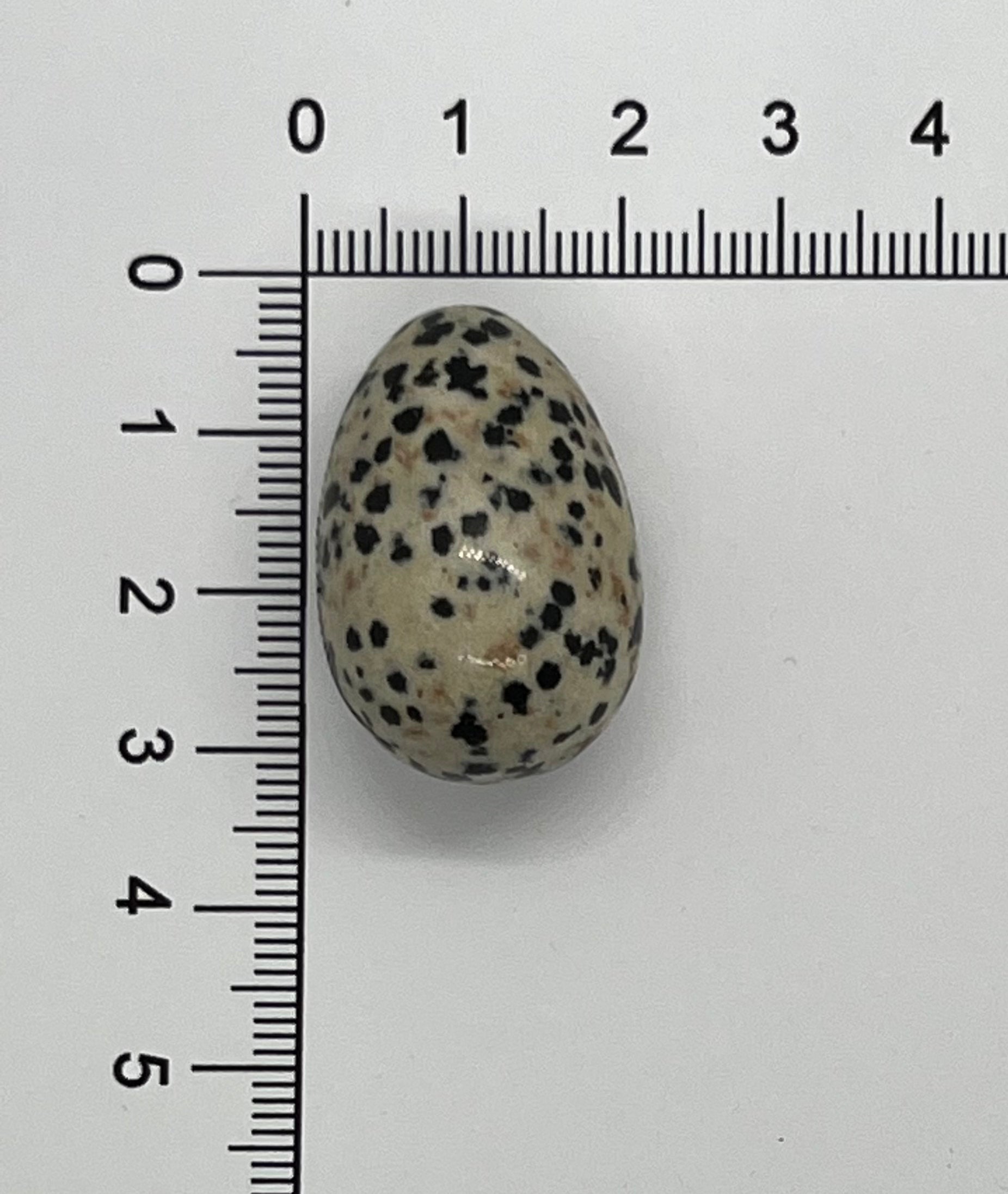 Mini Eggs 20x30mm Assorted