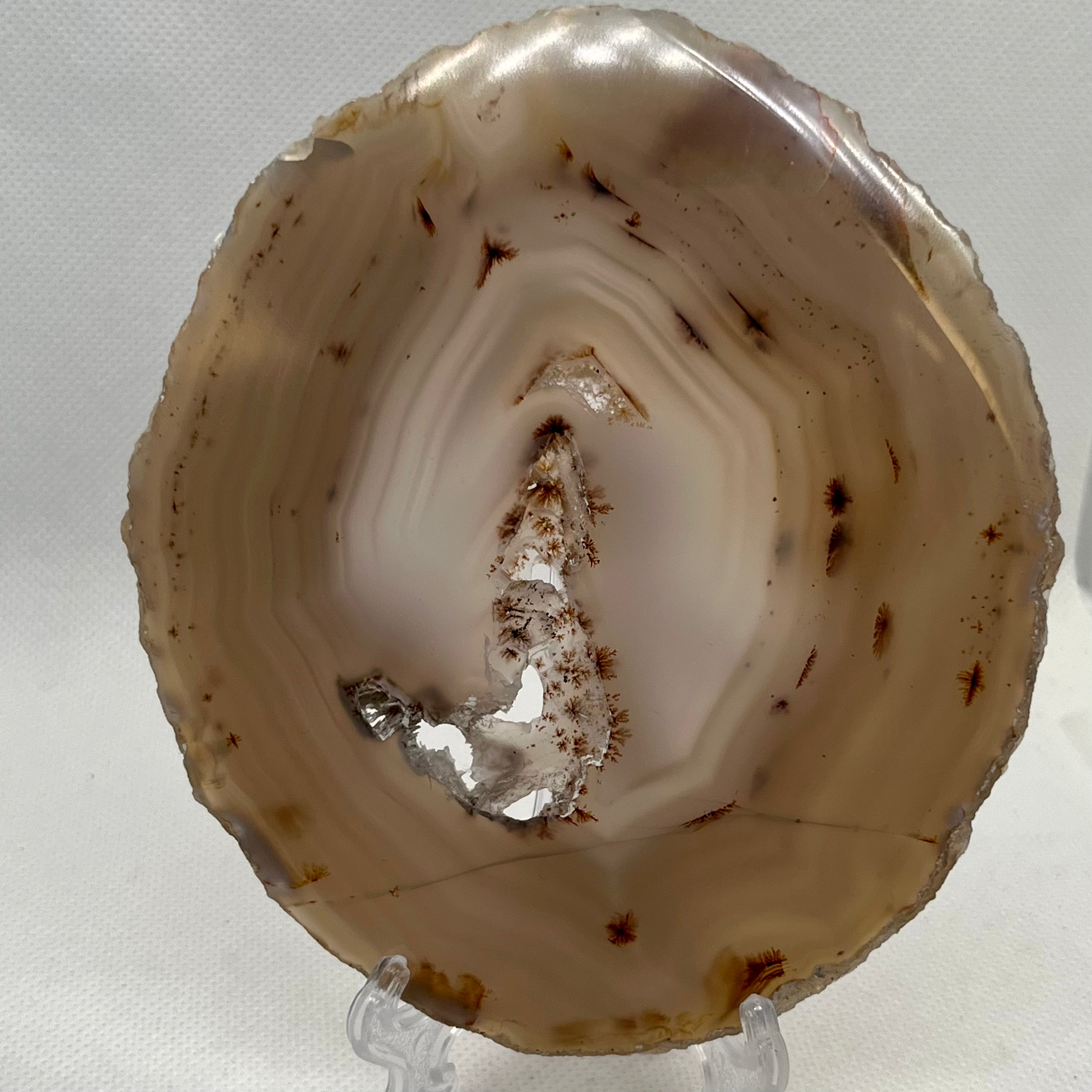 Agate Slice- XL #5