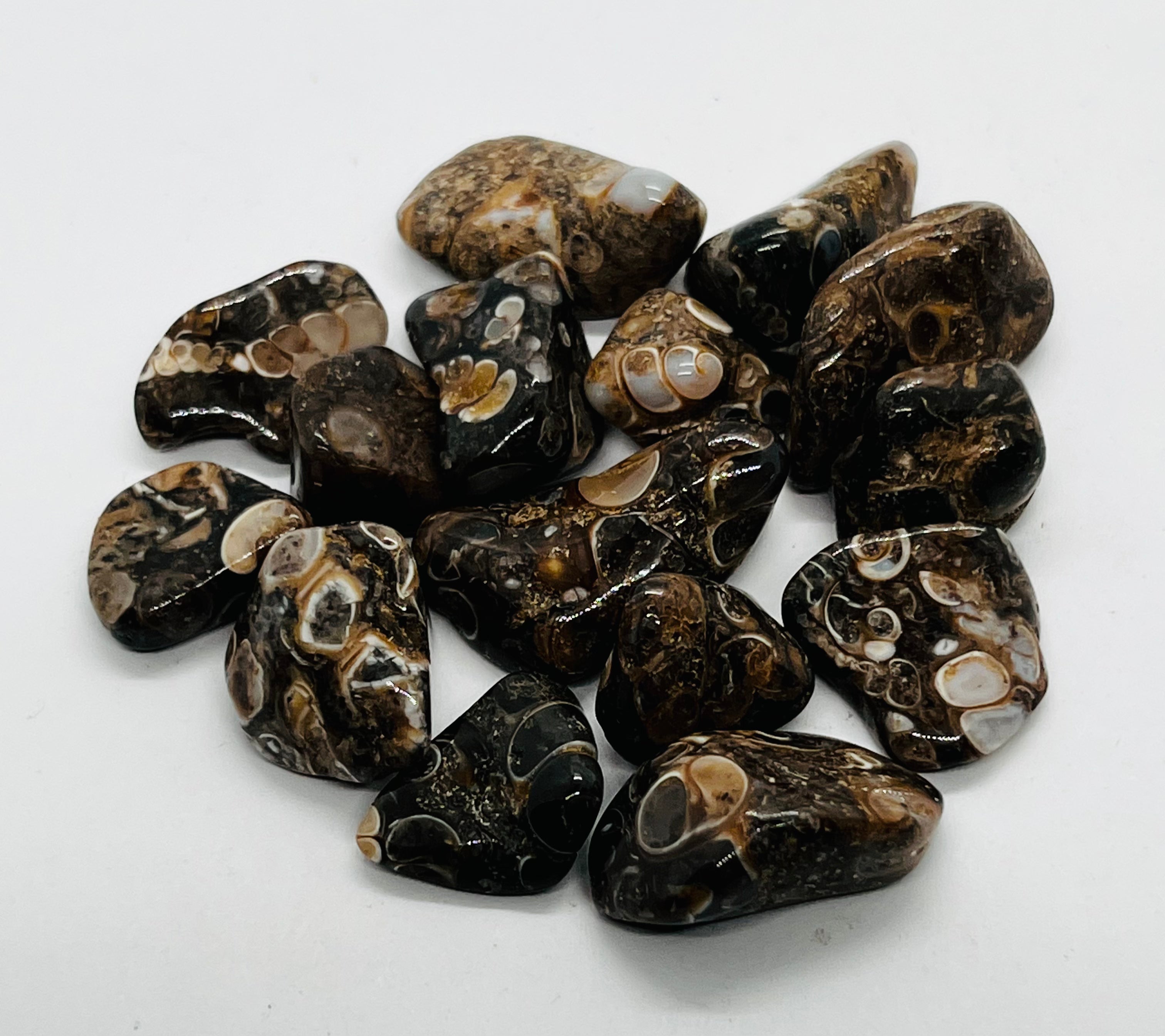 Tumbled Stones- Single Stones