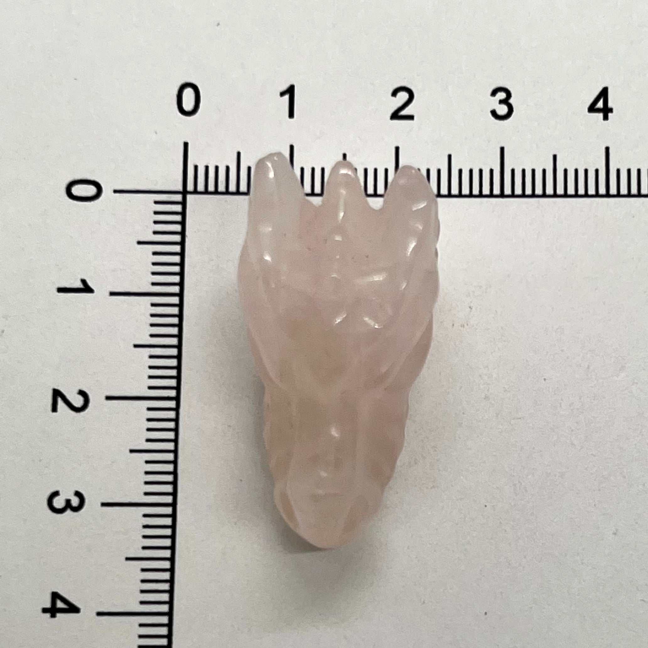 Dragon Heads Assorted