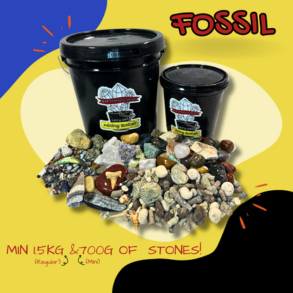 LET'S DIG!  Fossils Mining Bucket